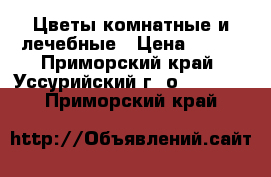 Цветы комнатные и лечебные › Цена ­ 400 - Приморский край, Уссурийский г. о.   »    . Приморский край